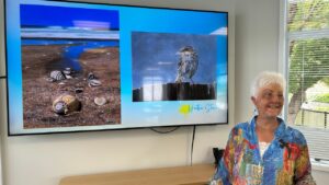 The Trauma-to-Testimony Blueprint